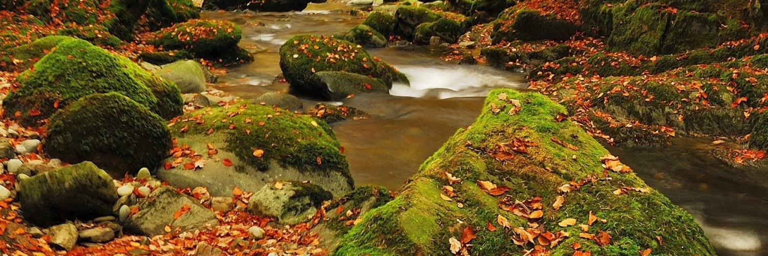 Twitterのヘッダー画像・トップ画に使える画像