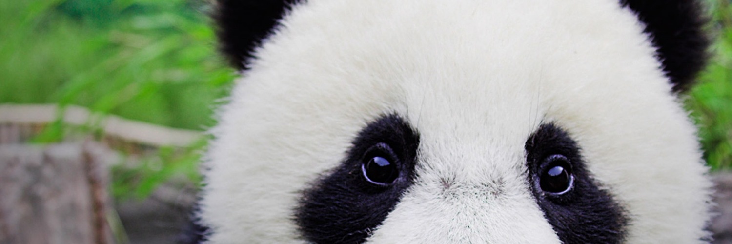 Twitterのヘッダー画像・トップ画に使える画像