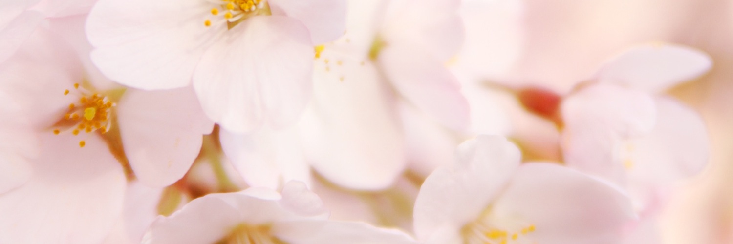 Twitterのヘッダー画像・トップ画に使える画像