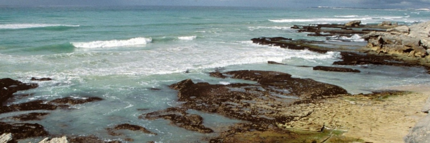 Twitterのヘッダー画像・トップ画に使える画像