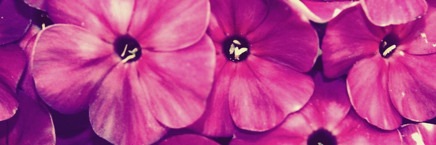 Twitterのヘッダー画像・トップ画に使える画像