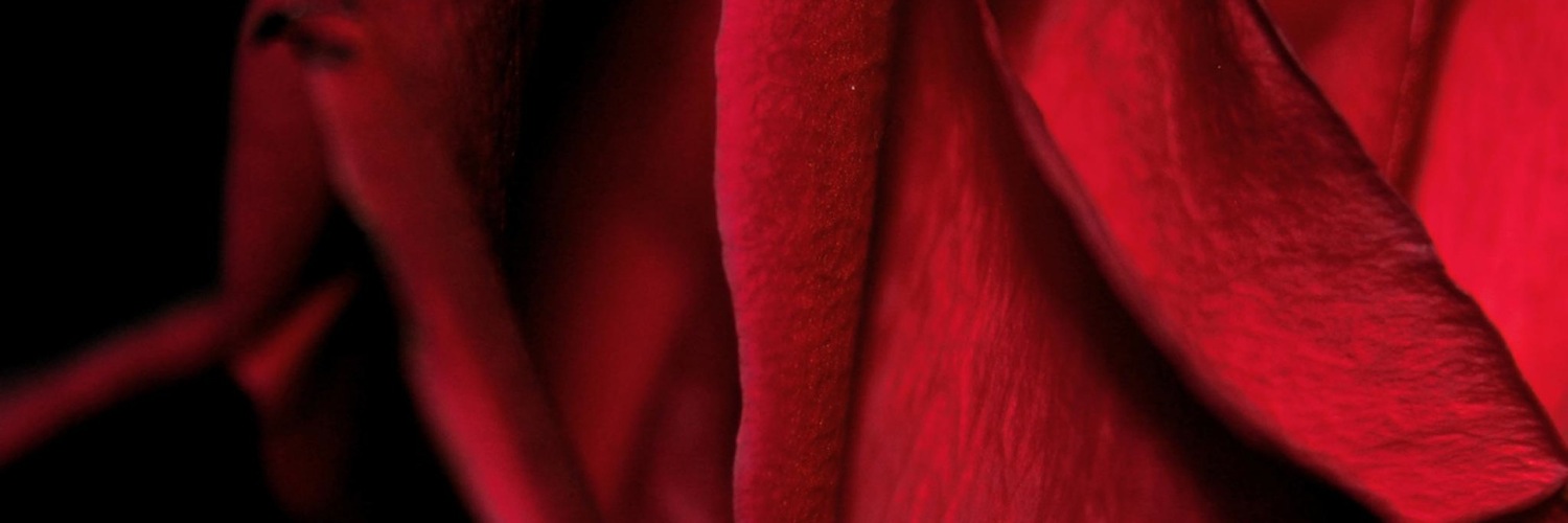 Twitterのヘッダー画像・トップ画に使える画像