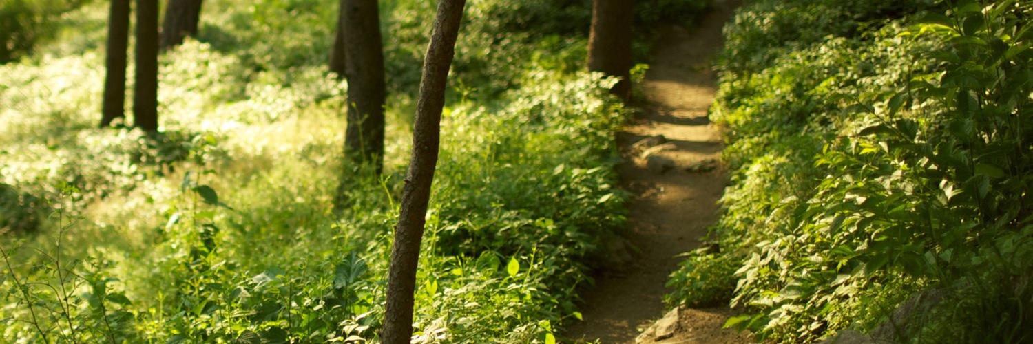 Twitterのヘッダー画像・トップ画に使える画像