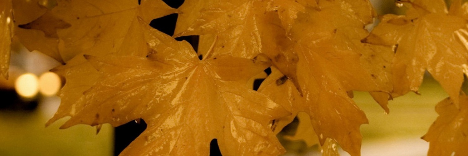 Twitterのヘッダー画像・トップ画に使える画像