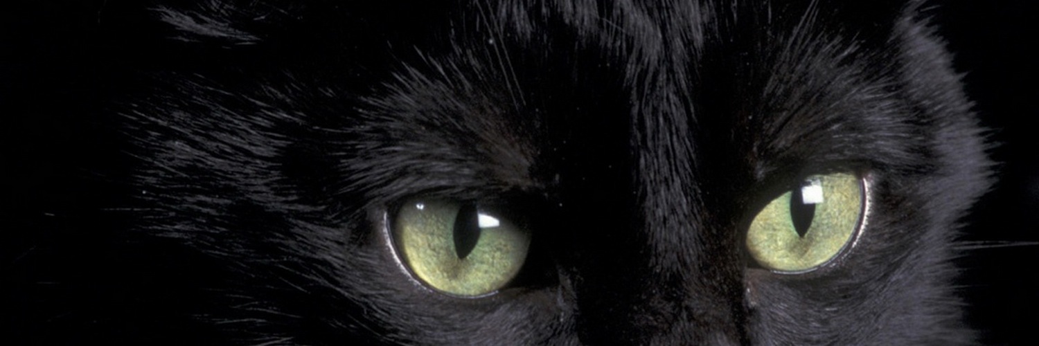 Twitterのヘッダー画像・トップ画に使える画像