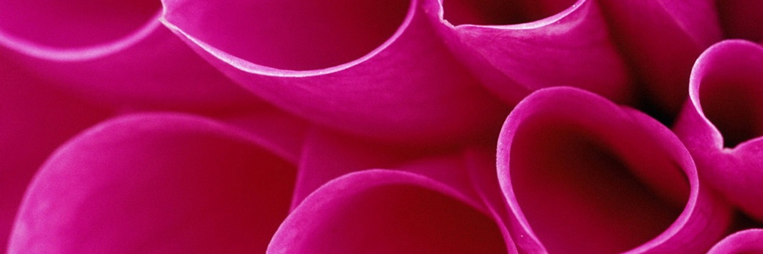 Twitterのヘッダー画像・トップ画に使える画像