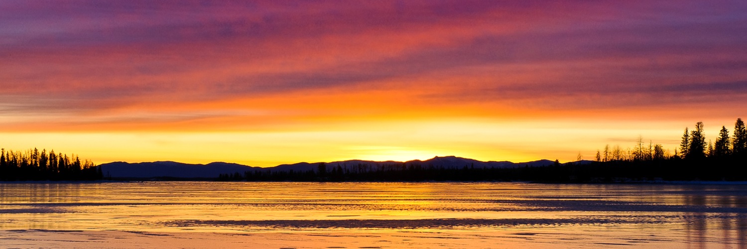 Twitterのヘッダー画像・トップ画に使える画像