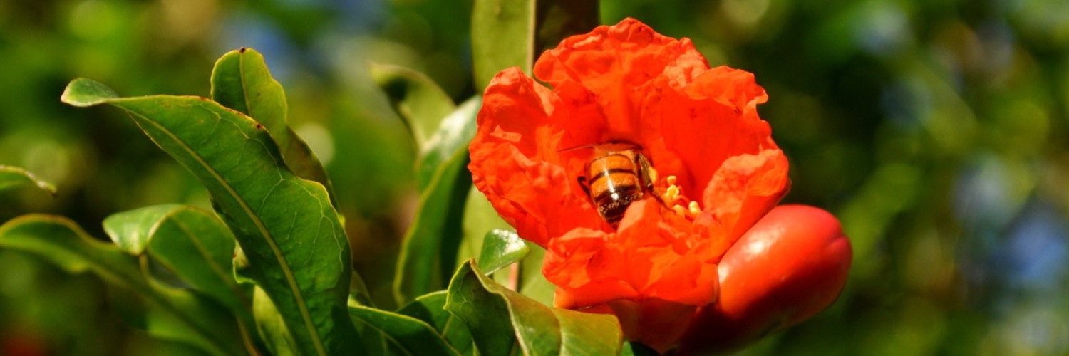 Twitterのヘッダー画像・トップ画に使える画像