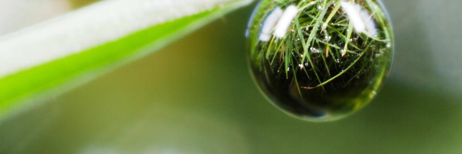 Twitterのヘッダー画像・トップ画に使える画像