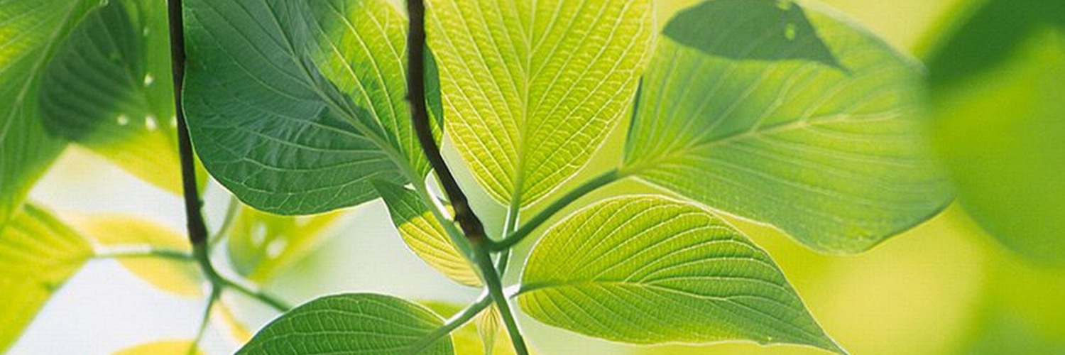 Twitterのヘッダー画像・トップ画に使える画像