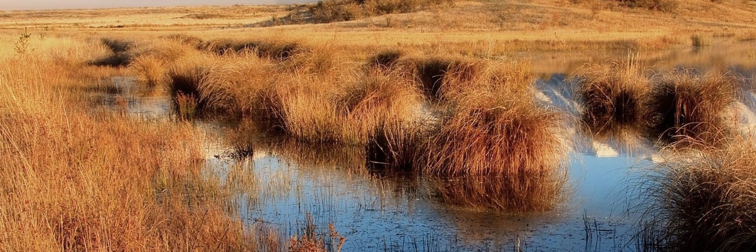 Twitterのヘッダー画像・トップ画に使える画像