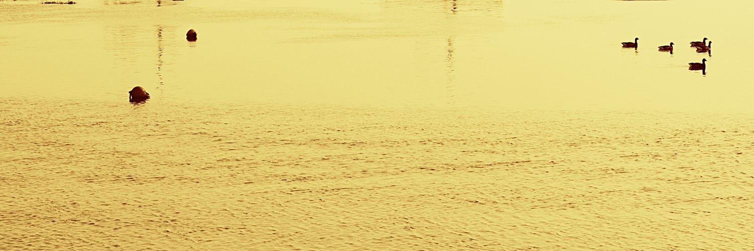 Twitterのヘッダー画像・トップ画に使える画像