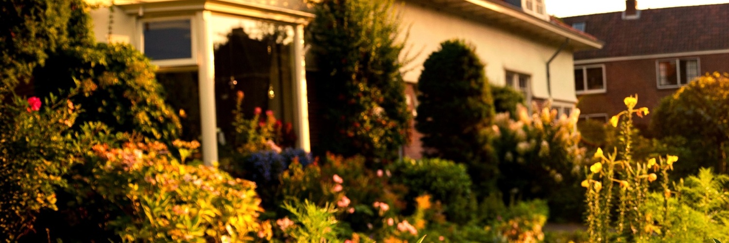 Twitterのヘッダー画像・トップ画に使える画像