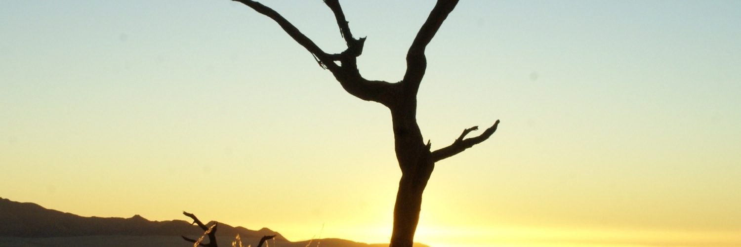 Twitterのヘッダー画像・トップ画に使える画像