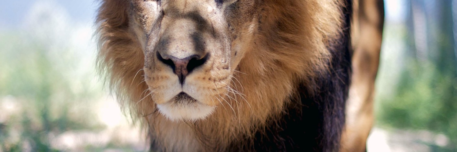 Twitterのヘッダー画像・トップ画に使える画像