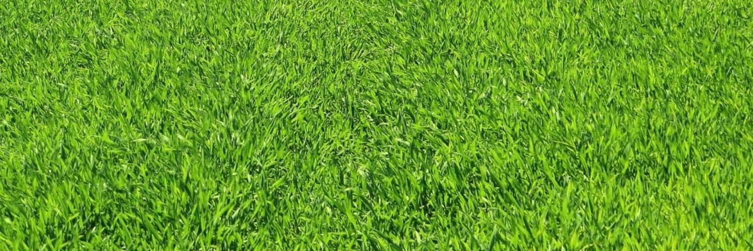 Twitterのヘッダー画像・トップ画に使える画像