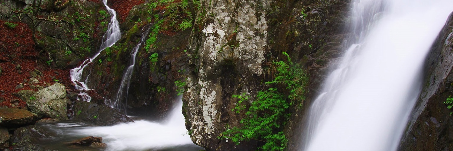 Twitterのヘッダー画像・トップ画に使える画像