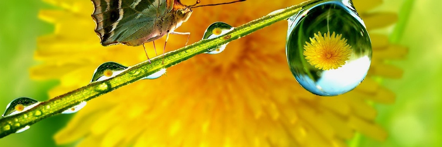 Twitterのヘッダー画像・トップ画に使える画像