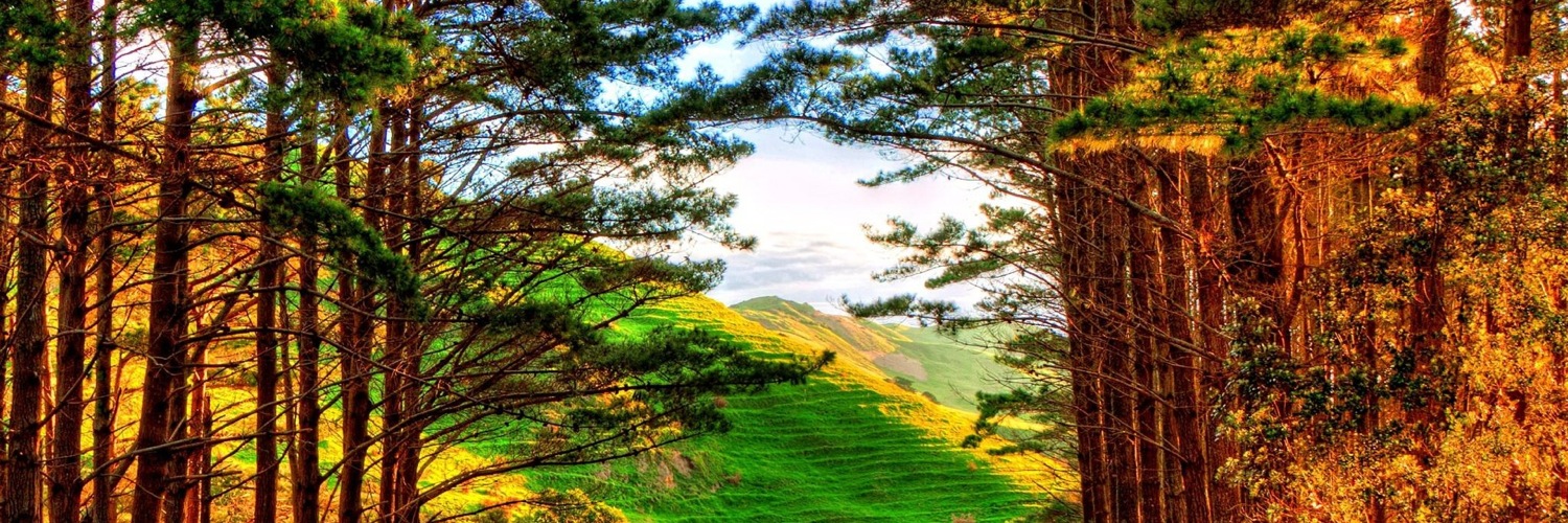 Twitterのヘッダー画像・トップ画に使える画像