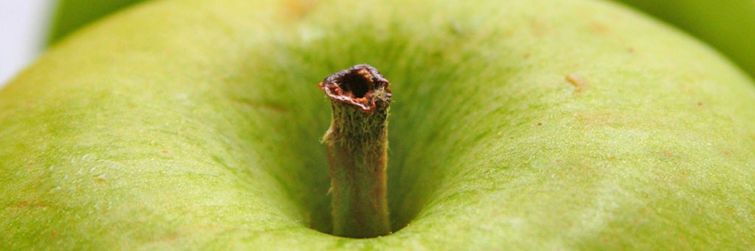 Twitterのヘッダー画像・トップ画に使える画像