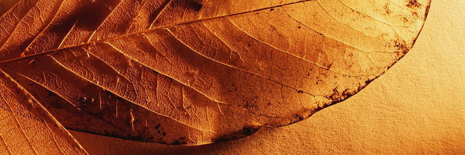 Twitterのヘッダー画像・トップ画に使える画像