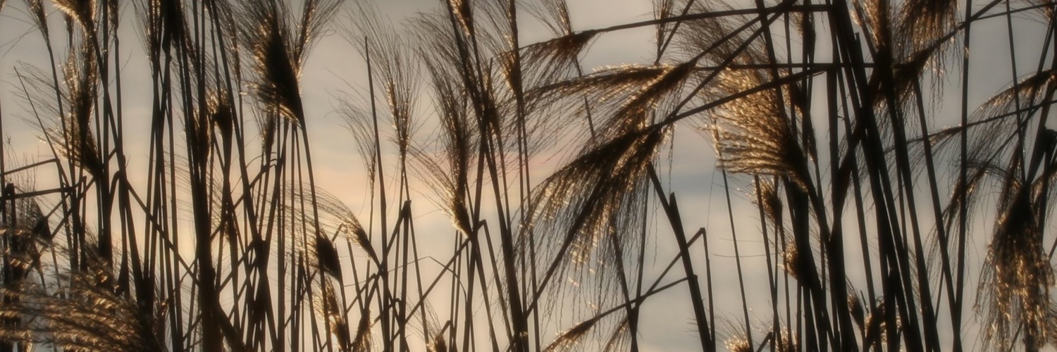 Twitterのヘッダー画像・トップ画に使える画像