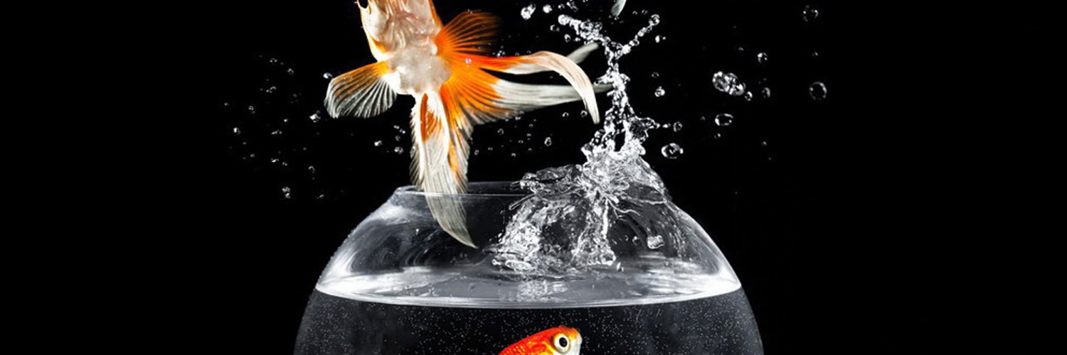 Twitterのヘッダー画像・トップ画に使える画像