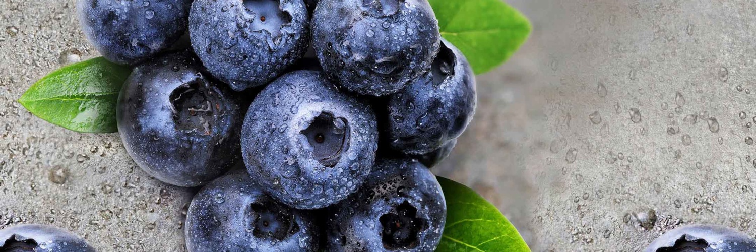 Twitterのヘッダー画像・トップ画に使える画像