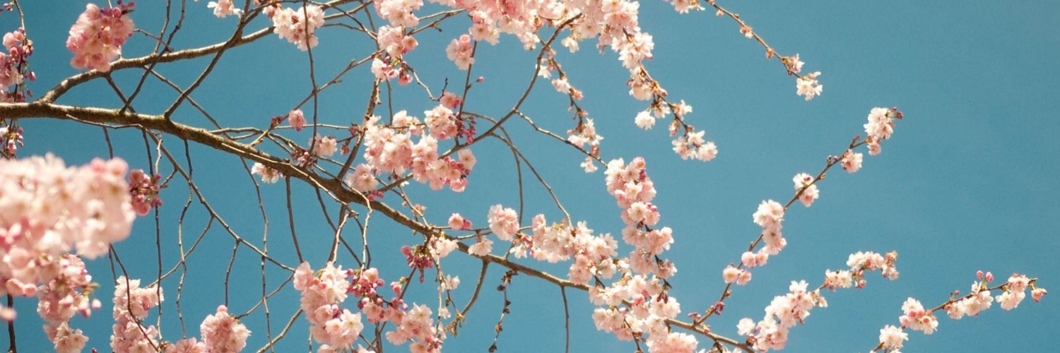 Twitterのヘッダー画像・トップ画に使える画像