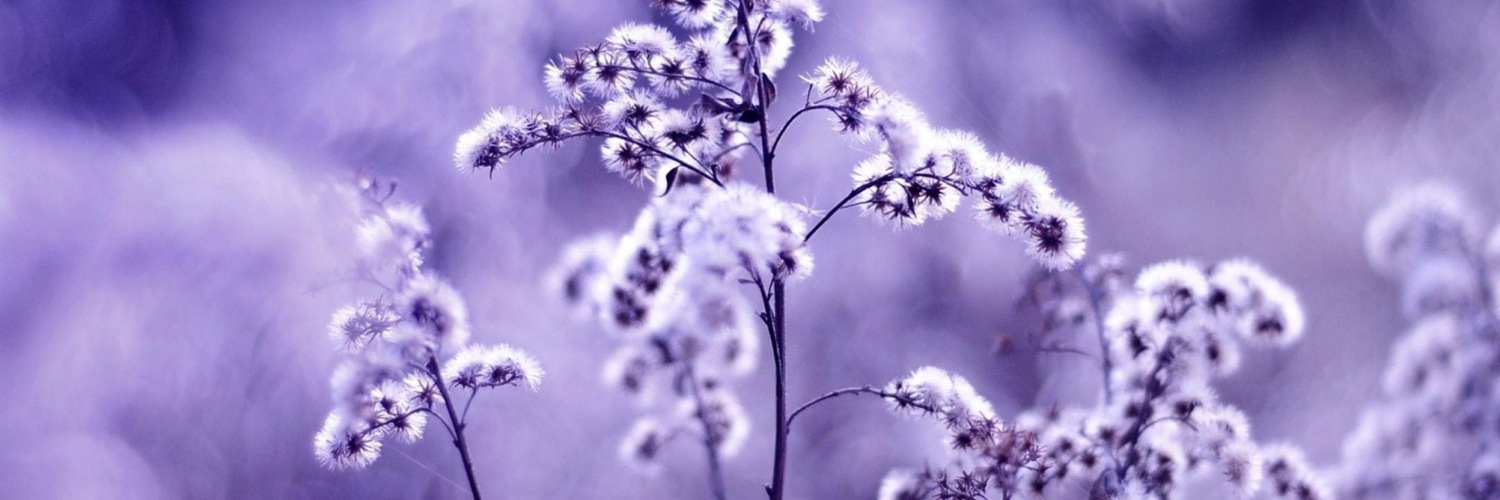 Twitterのヘッダー画像・トップ画に使える画像