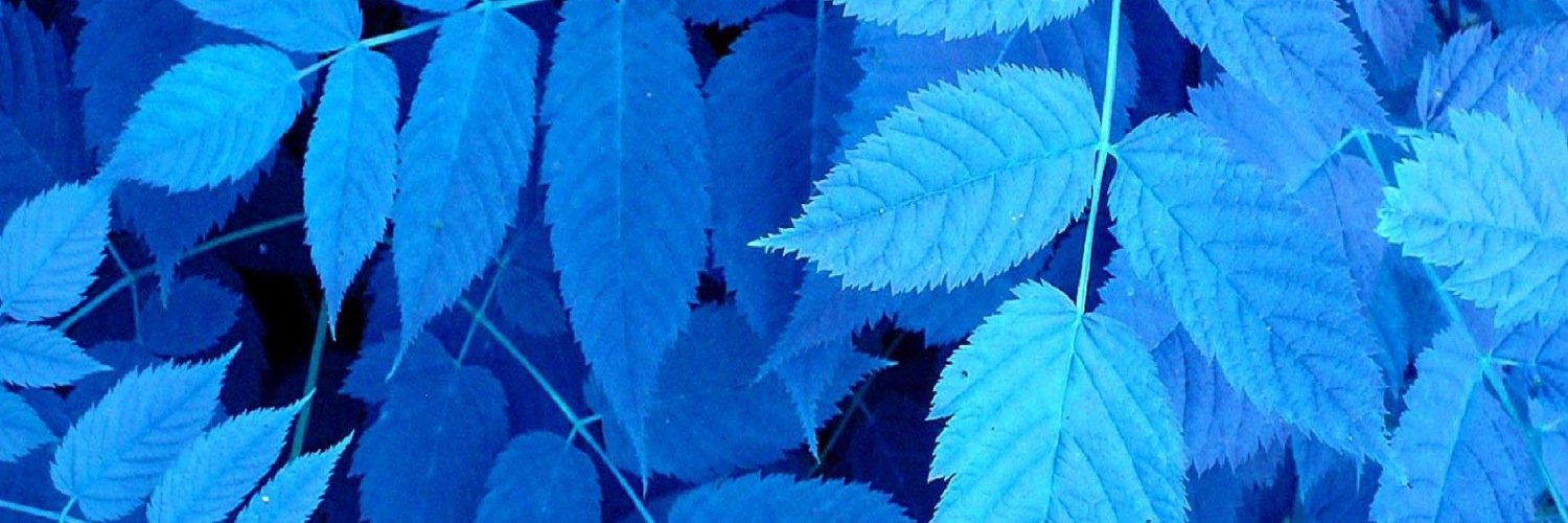 Twitterのヘッダー画像・トップ画に使える画像