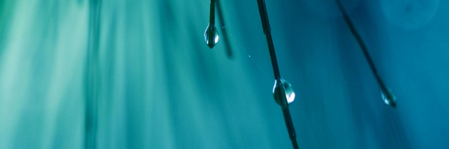 Twitterのヘッダー画像・トップ画に使える画像