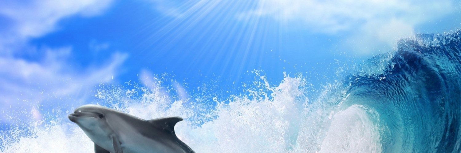 Twitterのヘッダー画像・トップ画に使える画像