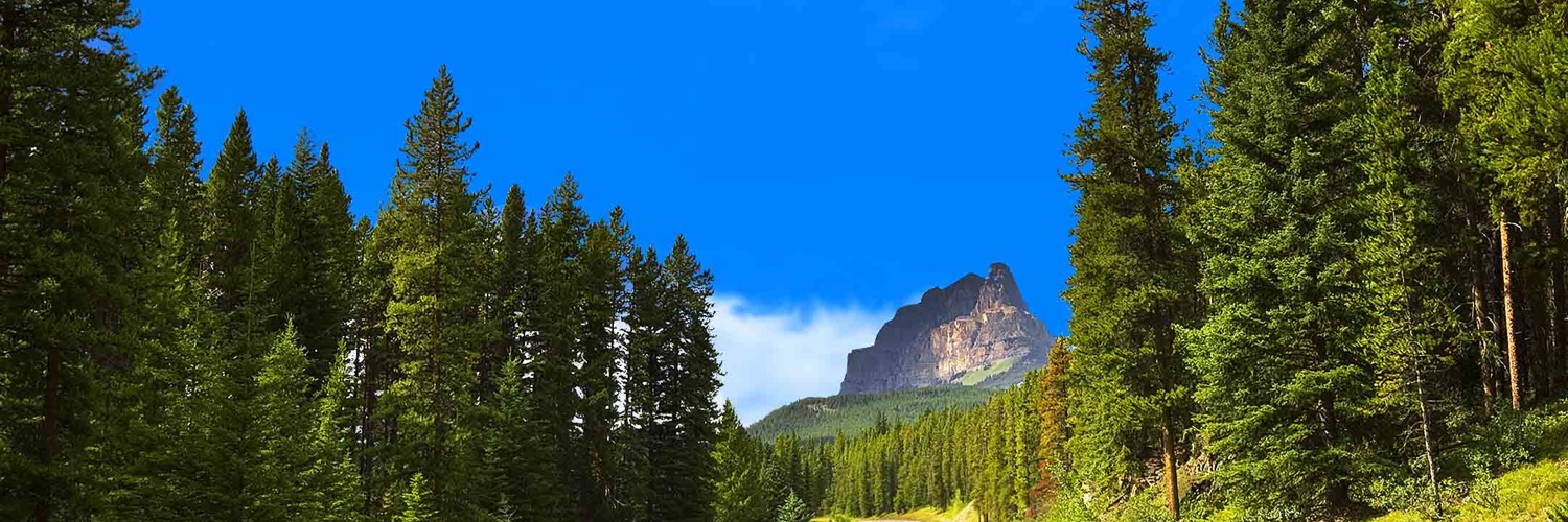 Twitterのヘッダー画像・トップ画に使える画像