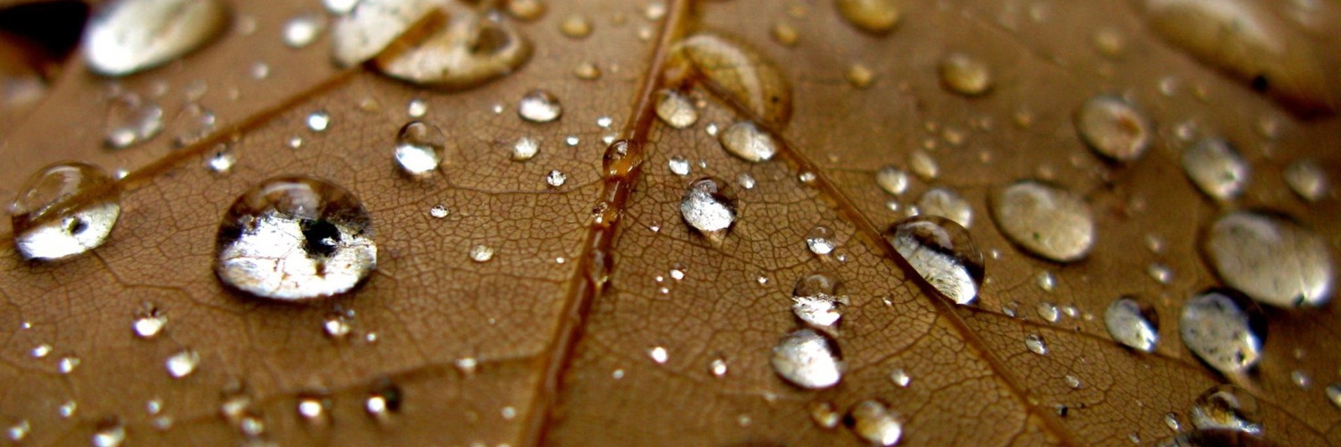 Twitterのヘッダー画像・トップ画に使える画像