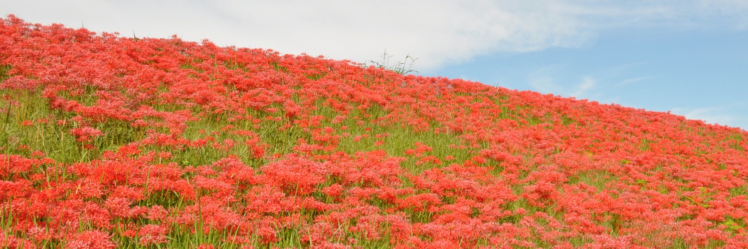 Twitterのヘッダー画像・トップ画に使える画像