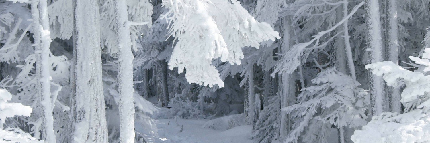 Twitterのヘッダー画像・トップ画に使える画像