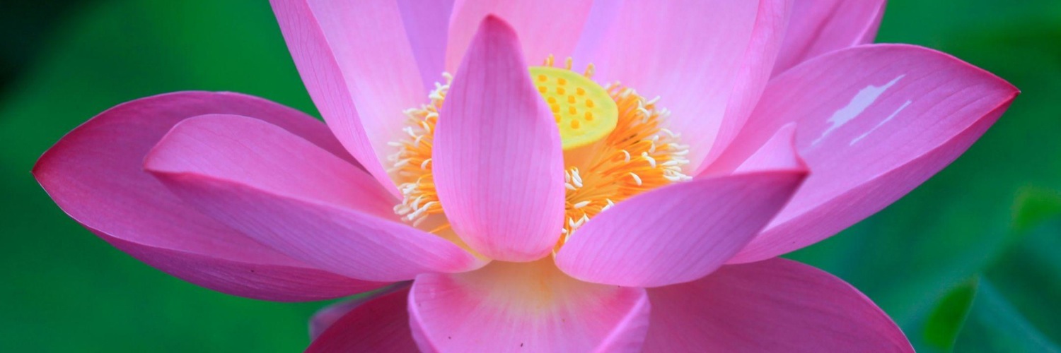 Twitterのヘッダー画像・トップ画に使える画像