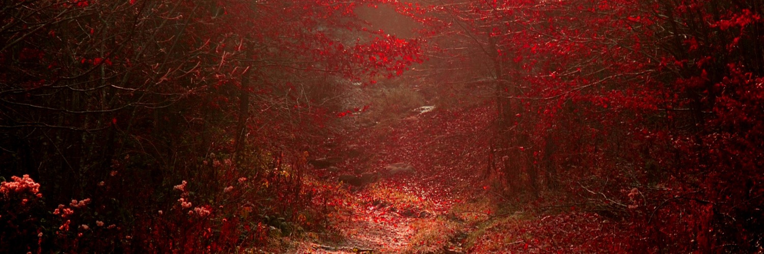 Twitterのヘッダー画像・トップ画に使える画像