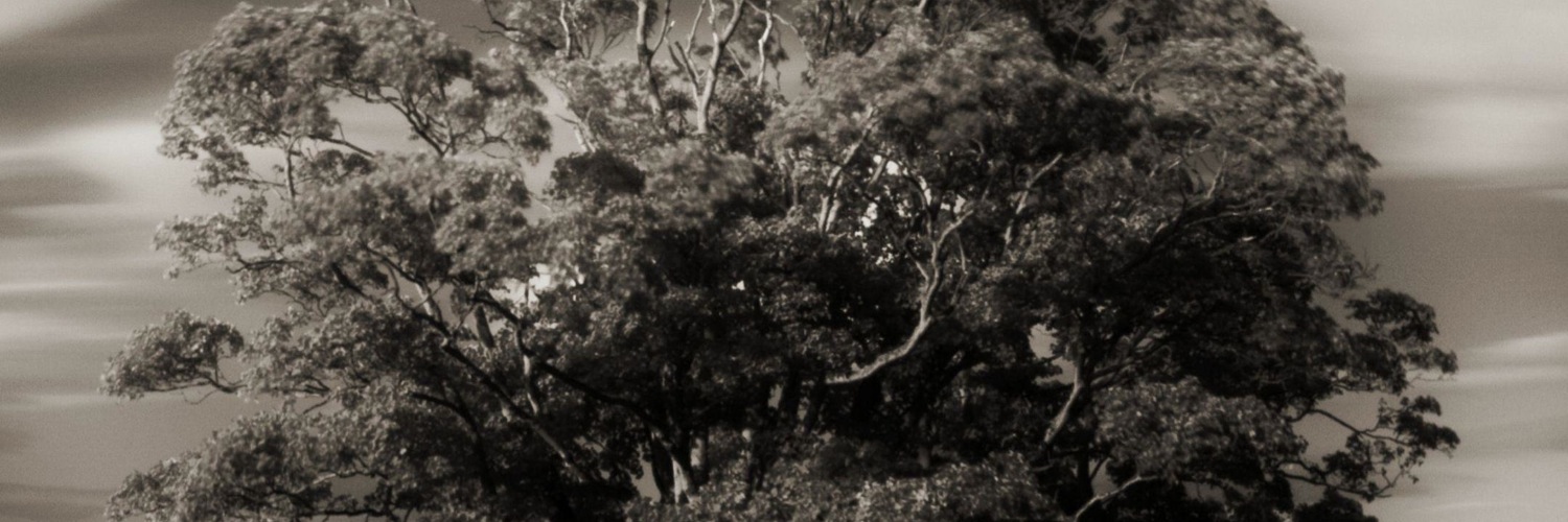 Twitterのヘッダー画像・トップ画に使える画像