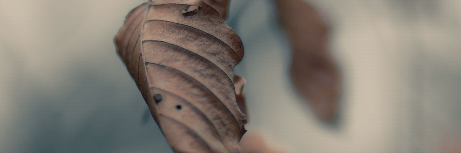 Twitterのヘッダー画像・トップ画に使える画像