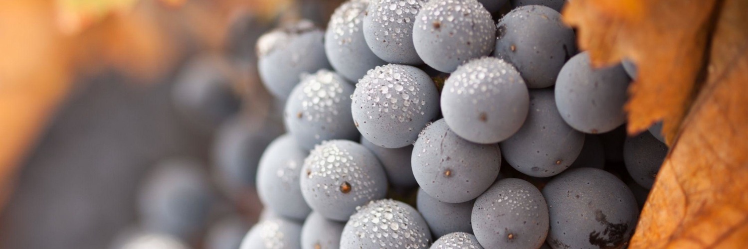 Twitterのヘッダー画像・トップ画に使える画像