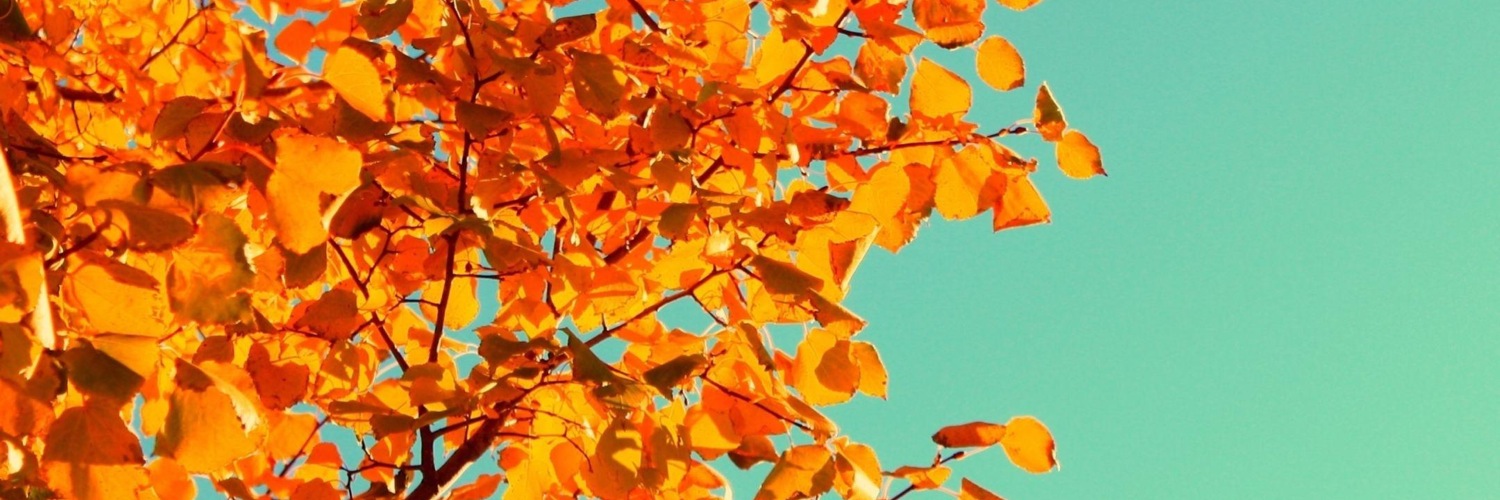 Twitterのヘッダー画像・トップ画に使える画像