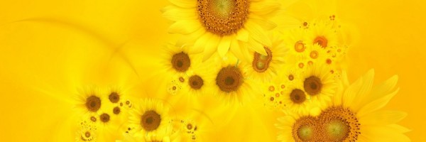 Twitter New Header Image 00613