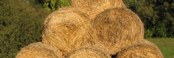 Twitter New Header Image 00628