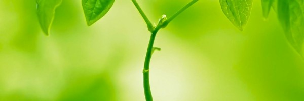 Twitter New Header Image 00636