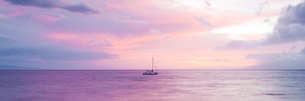 Twitter New Header Image 00642