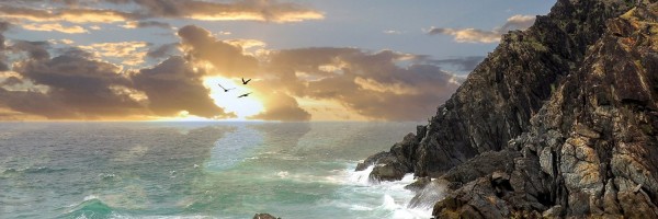 Twitter New Header Image 00649