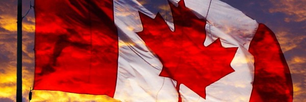 Twitter New Header Image 00652