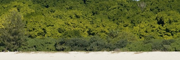 Twitter New Header Image 00663